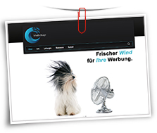 Vorschaubild Website Schädler Design